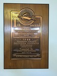 IMG_4392