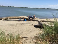IMG_4398