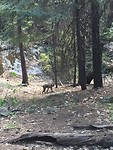IMG_4438