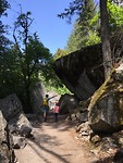 IMG_4440