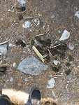 IMG_4483