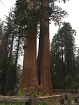 IMG_4486