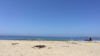 IMG_4511
