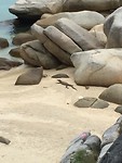 Paradise lang tengah