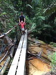 Jungle tocht