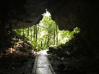 Deer cave