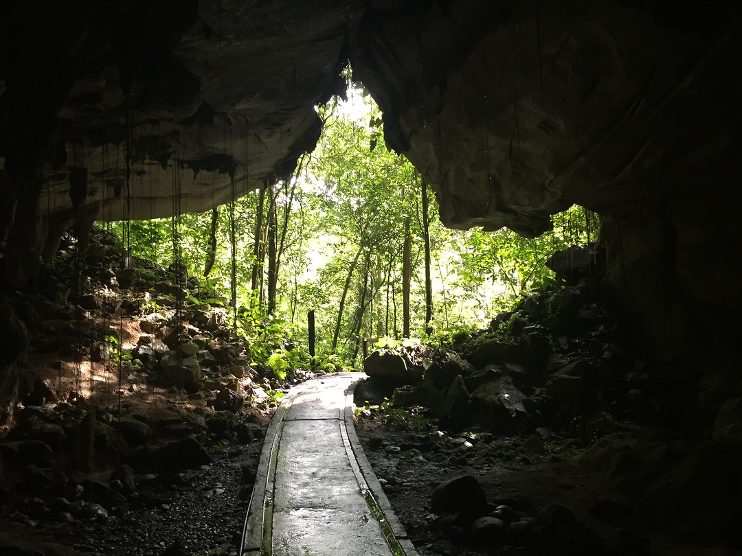 Deer cave