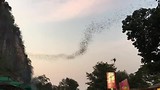 Bat Cave