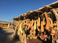 Pompoenverkopers aan de weg.