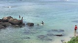 Kijk ze lekker in het water springen.