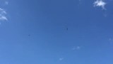 Adelaars vliegen boven ons hoofd.