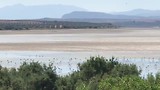 Flamingo’s in zoutmeer van la Fuente de Piedra.