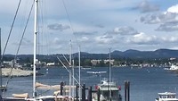 Bedrijvigheid in de Inner Harbour