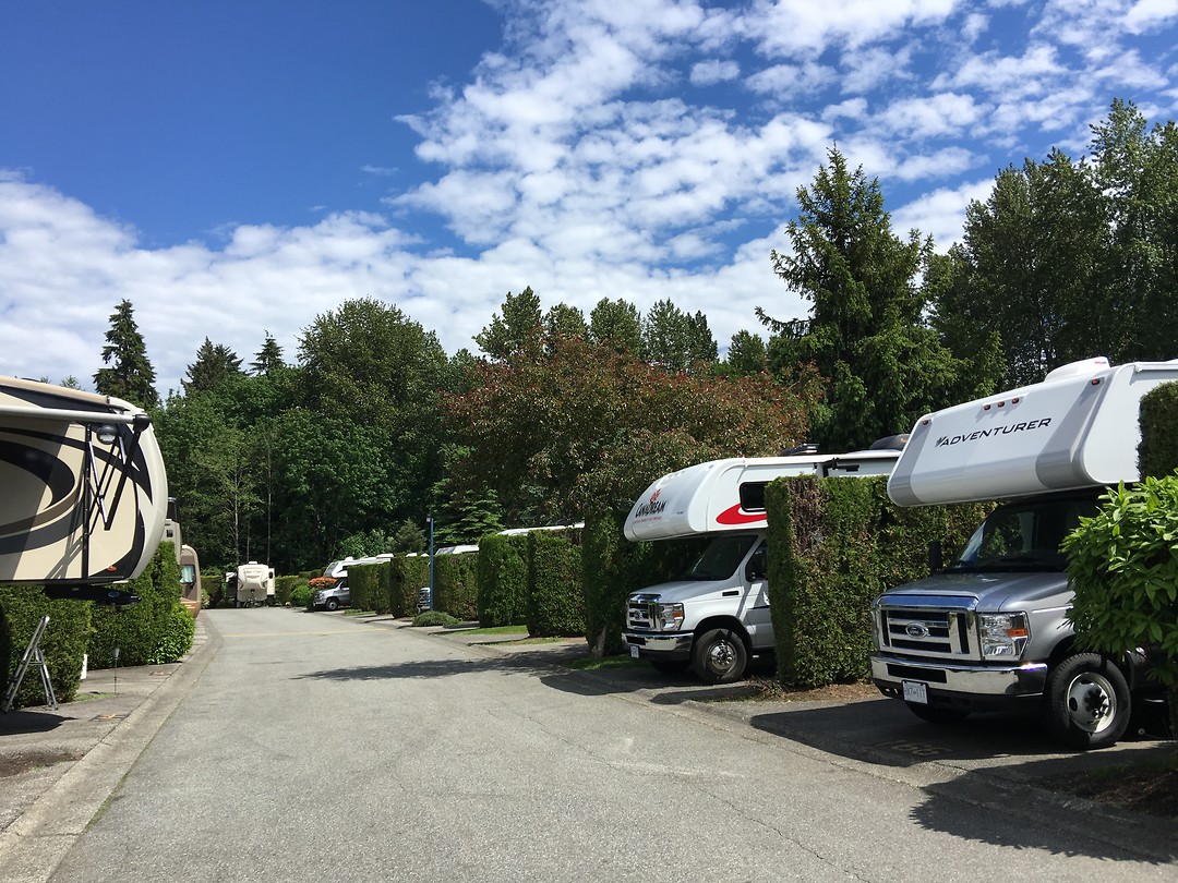 Heel wat anders op zo’n nette en volle camping
