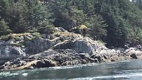 Eagleshow 2