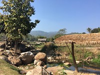 Bij de Bamboo Bridge.