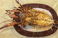 Lobster Thermidor, hij was héérlijk.