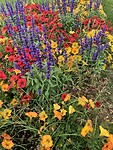 Kleurrijke borders.