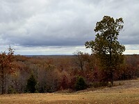 Herfstkleuren, glooiend landschap van Missouri