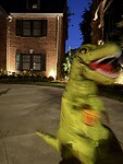 Er lopen zelfs dinosaurussen rond.