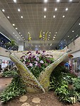 Weelderige orchideeën op de luchthaven van Singapore.