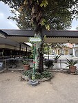 IMG_3943