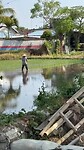 Planten van de rijst