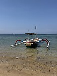 IMG_4794
