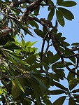 IMG_4805