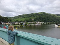Blick auf der Mosel ❤️