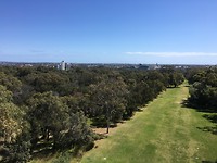 the view from the DNA tower