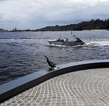 Elisabeth Quay
