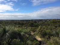 View of the city