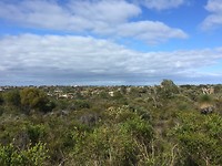 View of the city