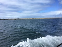 At the Ferry to Rottnest Island