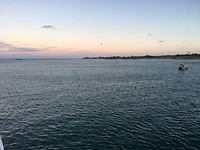 A photo just before leaving Rottnest