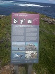Cape Vlamingh