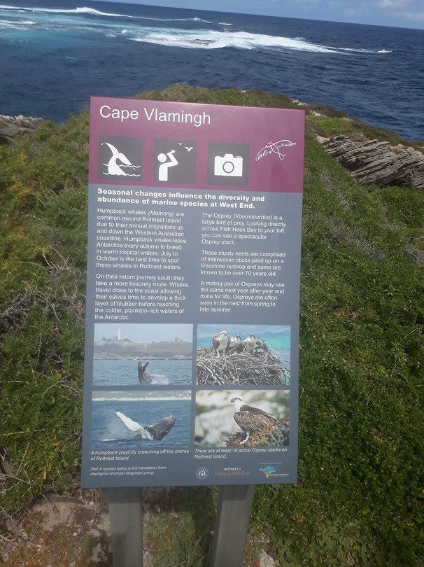 Cape Vlamingh