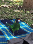a twentyeight enjoyed our picnic