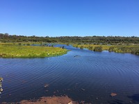 The lake