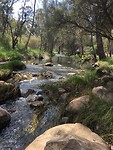 Noble Falls