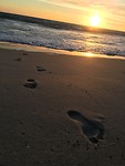 Walk at the beach