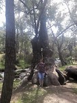 Noble Falls