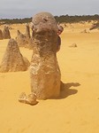 Penis peekaboo