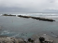 Rottnest Island and Yanchep Oct.2018 003
