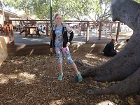 Rottnest Island and Yanchep Oct.2018 011