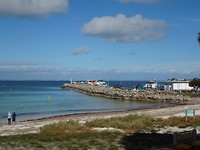 Rottnest Island and Yanchep Oct.2018 012