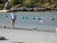 Rottnest Island and Yanchep Oct.2018 020