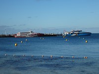 Rottnest Island and Yanchep Oct.2018 022