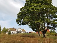 Het dorpje Säfsen